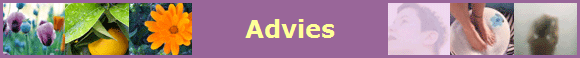 Advies