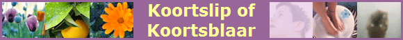 Koortslip of
Koortsblaar