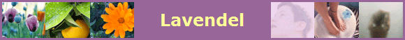 Lavendel