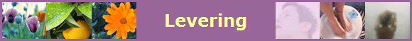 Levering