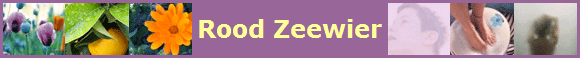 Rood Zeewier