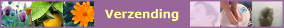 Verzending