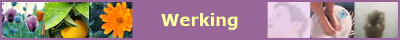Werking